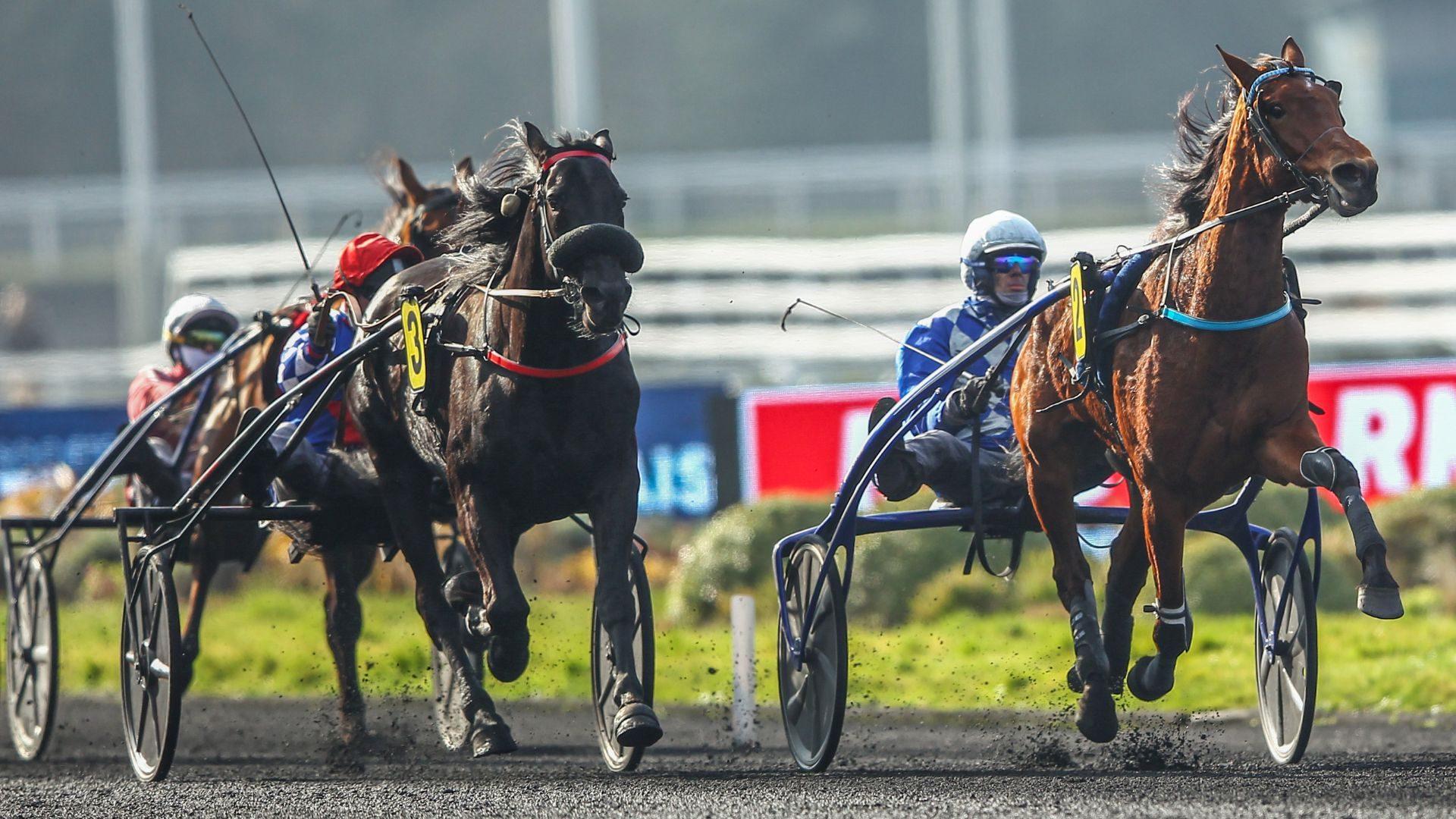Prix Guy Le Gonidec